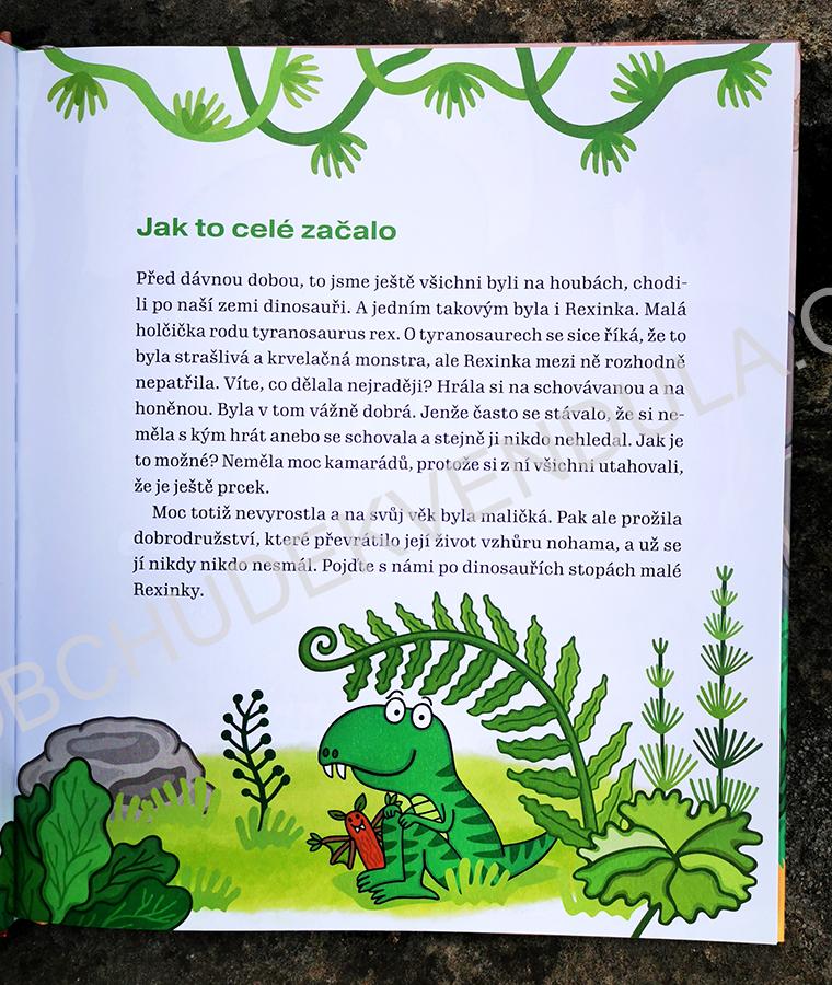 Knížka - Velké dinodobrodružství