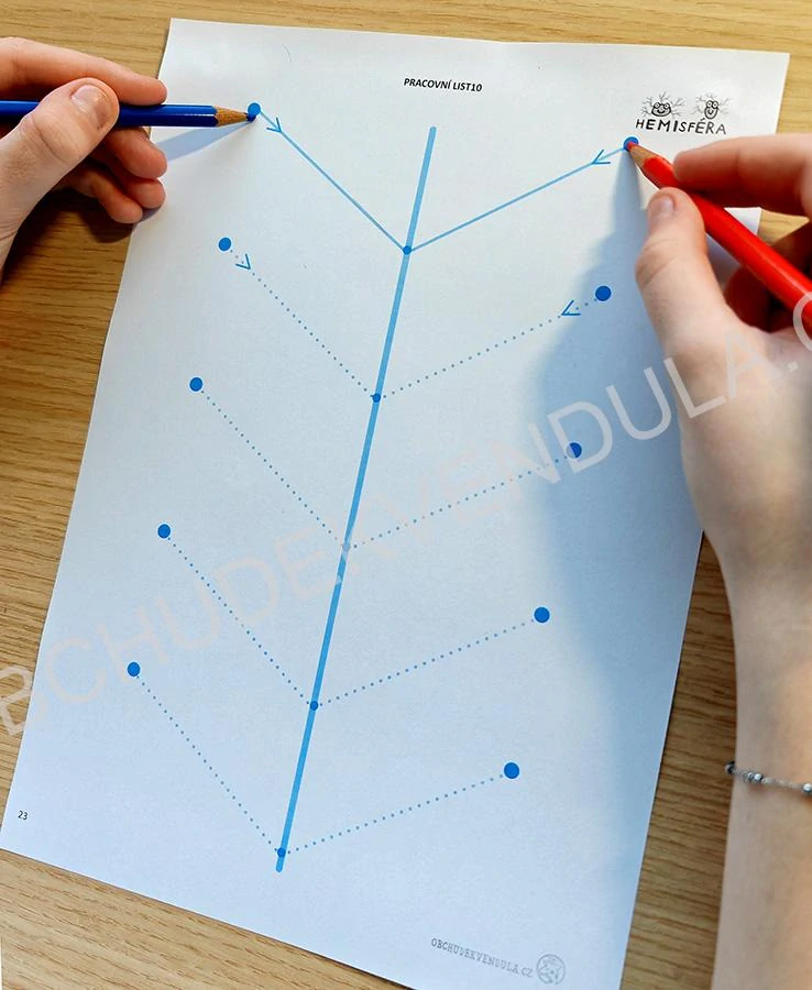 Neurorytmus s hemisférou 3 - elektronická verze PDF